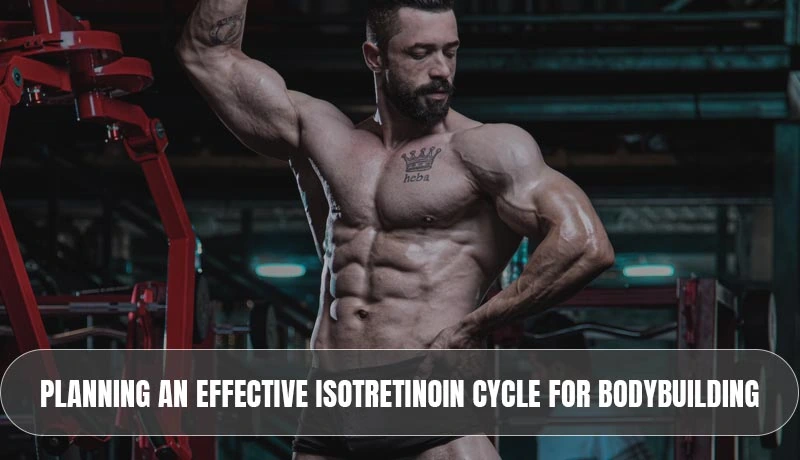 Planning an Effective Isotretinoin Cycle for Bodybuilding